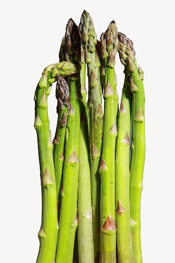 Asparagus vegetable, food isolated design | Free Photo - rawpixel