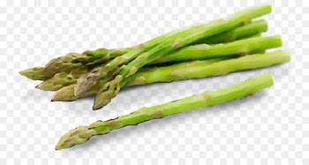asparagus vegetable food plant asparagus