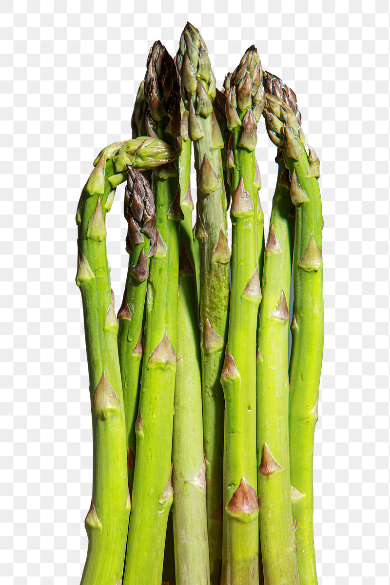 Asparagus vegetable png sticker, transparent | Free PNG - rawpixel