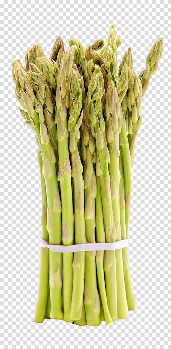 Asparagus Vegetarian cuisine Bamboo shoot Vegetable, Delicious bamboo shoots transparent background PNG clipart
