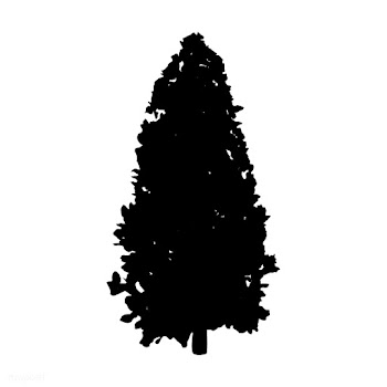 Aspen tree silhouette on white background | Free stock vector - 488664