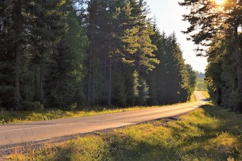 Asphalt Road