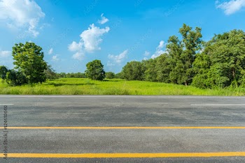 asphalt road and green rice field