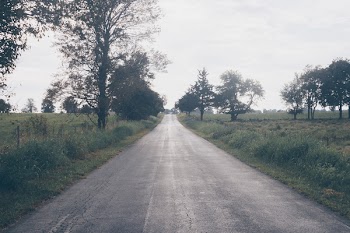 Asphalt Road Beside Trees and Grasses Under White Clouds Daytime