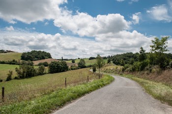 Asphalt Road Between Green Grass