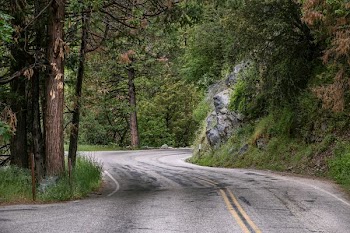 asphalt road in between tres