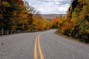 Asphalt Road with Yellow Markings 