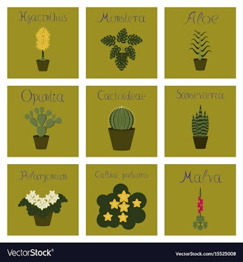 Assembly flat arctium malva caltha vector image