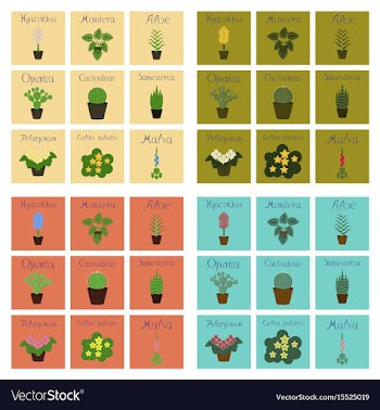 Assembly flat arctium malva caltha vector image