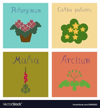 Assembly flat arctium malva caltha vector image