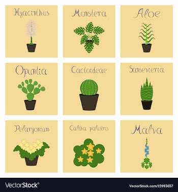 Assembly flat arctium malva caltha vector image