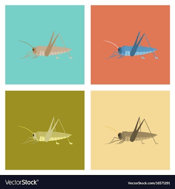 Assembly flat bug insect grasshopper vector image
