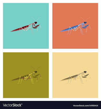 Assembly flat bug mantis vector image