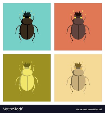Assembly flat bug scarab vector image
