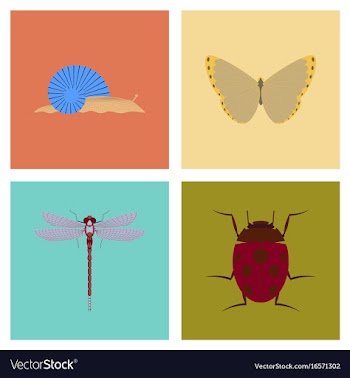 Assembly flat bug snail butterfly dragonfly vector image