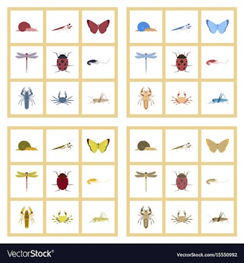 Assembly flat bug snail butterfly vector image