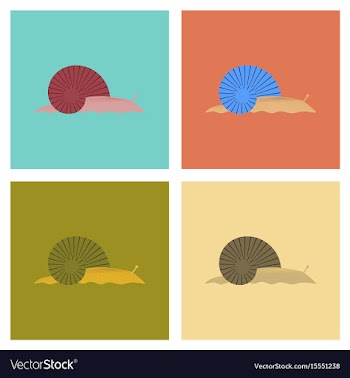 Assembly flat bug snail vector image