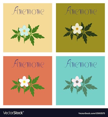 Assembly flat flower anemone vector image