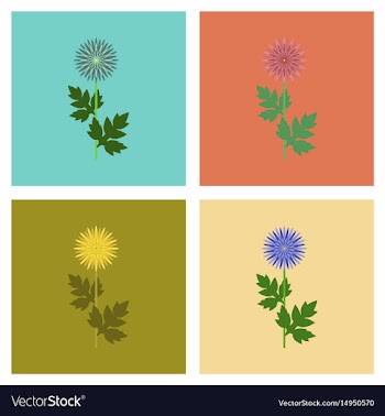 Assembly flat flower aster vector image