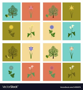 Assembly flat flower calla aster vector image