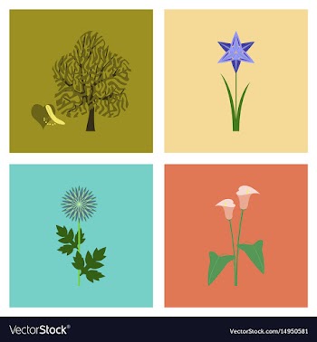 Assembly flat flower calla aster vector image