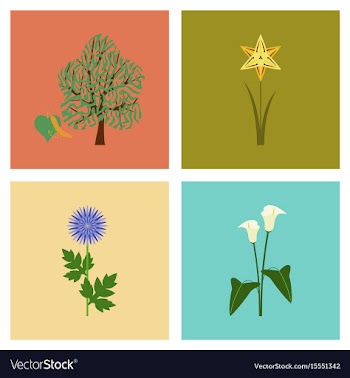 Assembly flat flower calla aster vector image