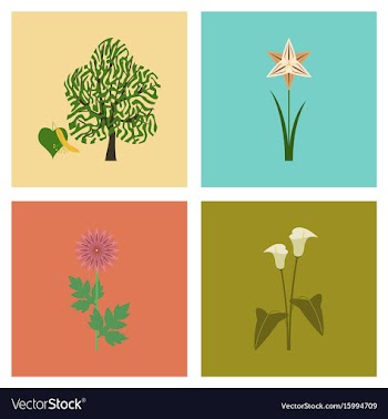 Assembly flat flower calla aster vector image
