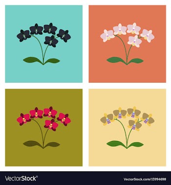 Assembly flat flower orhidaceae vector image