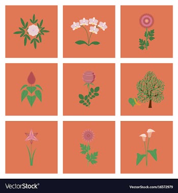 Assembly flat flower paeonia chrysanthemum vector image