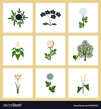 Assembly flat flower paeonia vector image