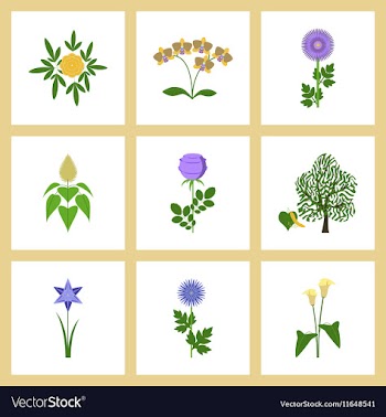 Assembly flat flower paeonia vector image