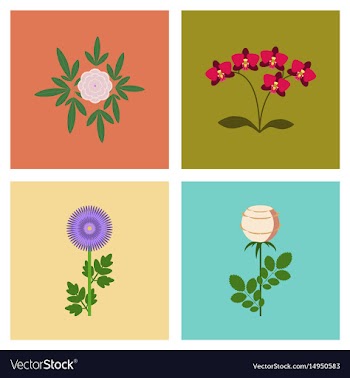 Assembly flat flower paeonia vector image