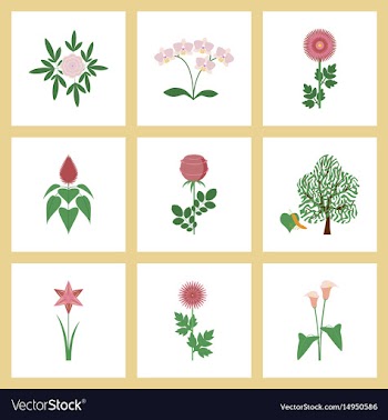 Assembly flat flower paeonia vector image