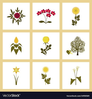Assembly flat flower paeonia vector image