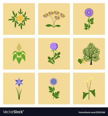 Assembly flat flower paeonia vector image