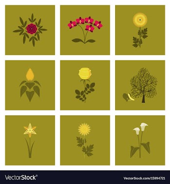 Assembly flat flower paeonia vector image