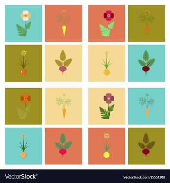 Assembly flat flower papaver daucus vector image
