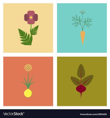 Assembly flat flower papaver daucus vector image