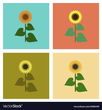 Assembly flat flower sunflower vector image