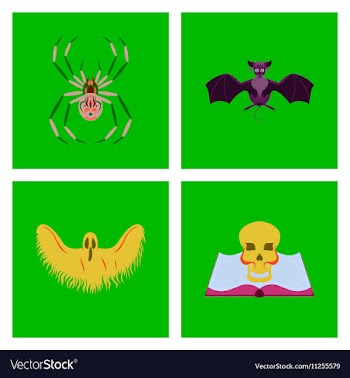 Assembly flat halloween spider bat vector image