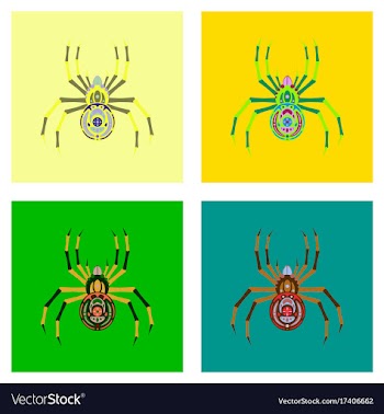 Assembly flat halloween spider vector image