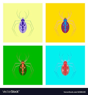 Assembly flat halloween spider vector image