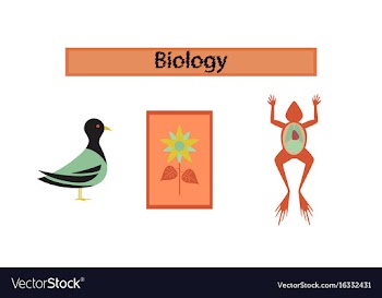 Assembly flat icons biology frog bird flowers vector image