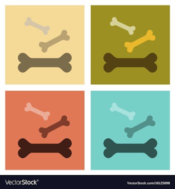 Assembly flat icons bones for pets vector image