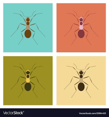 Assembly flat icons cartoon ant vector image