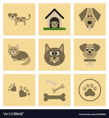 Assembly flat icons dog cats pets vector image