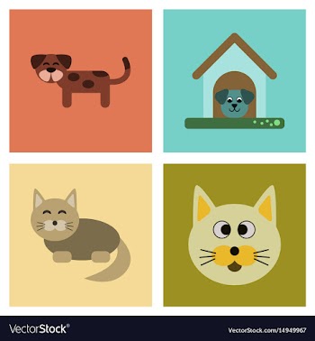 Assembly flat icons dog cats pets vector image