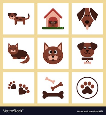 Assembly flat icons dog cats pets vector image