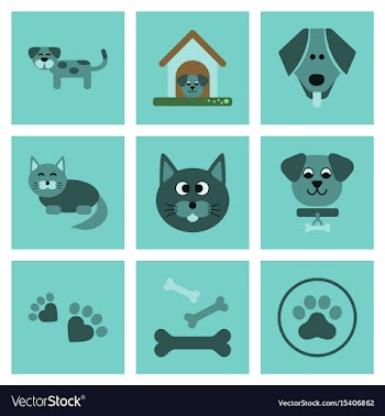 Assembly flat icons dog cats pets vector image