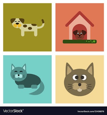Assembly flat icons dog cats pets vector image
